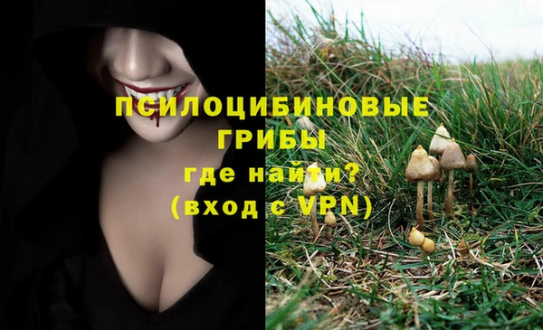 каннабис Вязники