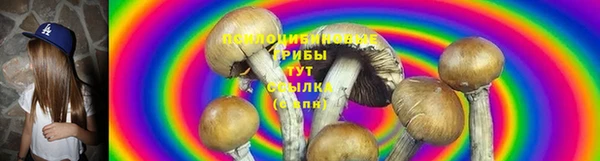 гидропоника Вяземский